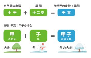 己巳男|四柱推命｜己巳（つちのとみ）とは？性格や恋愛、男 